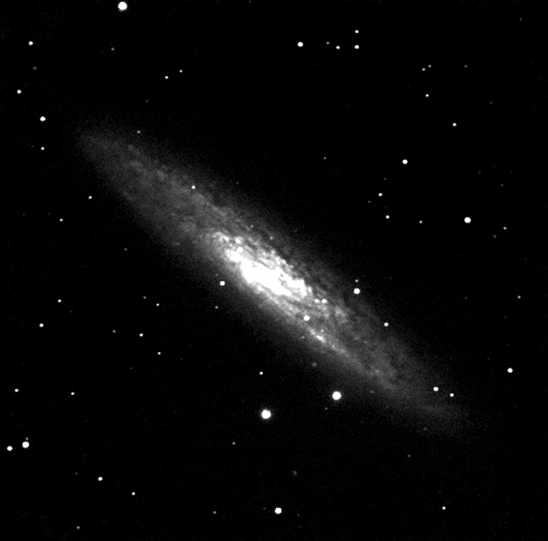 fig.4 Le camere CCD nascono per uso astronomico e sono impiegate in ambito amatoriale da una decina d'anni, con dinamiche di prestazioni e costi che in qualche modo si avvicinano a quelli tipici del mondo dei computer. L'immagine che riportiamo, relativa alla galassia NGC253, è stata ottenuta da un terrazzo romano con un telescopio Schmidt/Cassegrain da 20 cm e relativa accessoristica: con attrezzature per circa 10 milioni ed anche in condizioni di inquinamento luminoso estremo è oggi possibile indagare nelle profondità del cielo in modo qualitativamente non dissimile da come, fino a vent'anni or sono e con ben altri costi, si poteva fare solo da monte Palomar o da altre simili cattedrali dell'astronomia professionale.