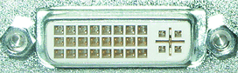 Figura 1. Uscita video digitale DVI.