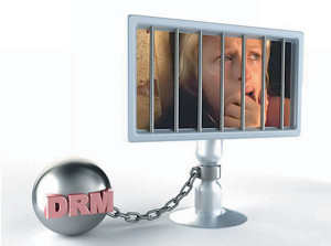 Figura 2. Infrangere i DRM è un reato (da sevensheaven.com).